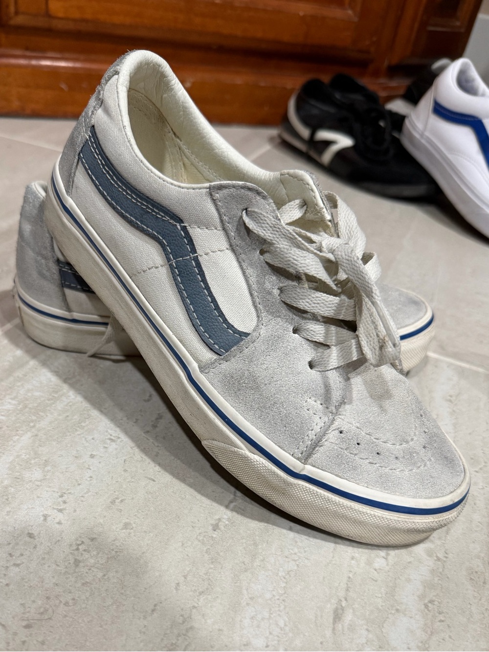 Vans Low-Top Skate Sneakers in Light Gray and Blue